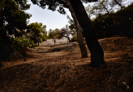 Emmanuel_Boum__EBP0797-Modifier__2024.jpg
