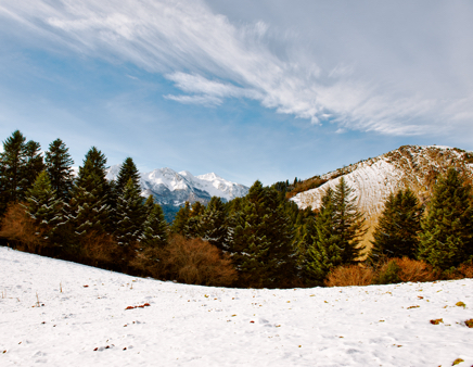 Emmanuel_Boum__DSC1551-Modifier__2009.jpg