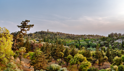 Emmanuel_Boum__EBP0095-Panorama-Modifier__2024.jpg